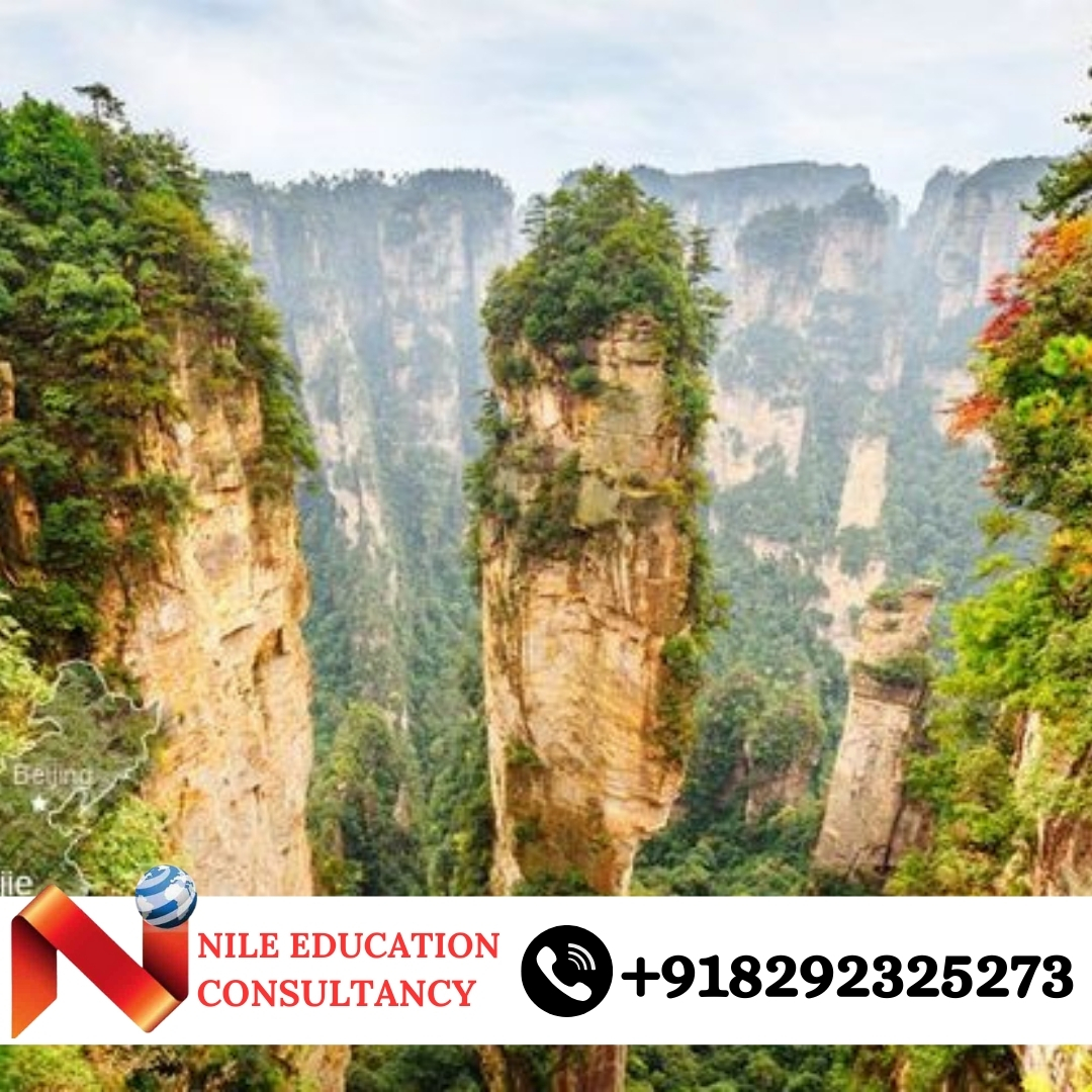 Chinese Medical University Liaoning Province, China State